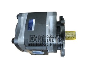 福伊特齿轮泵IPVP 7-250 111